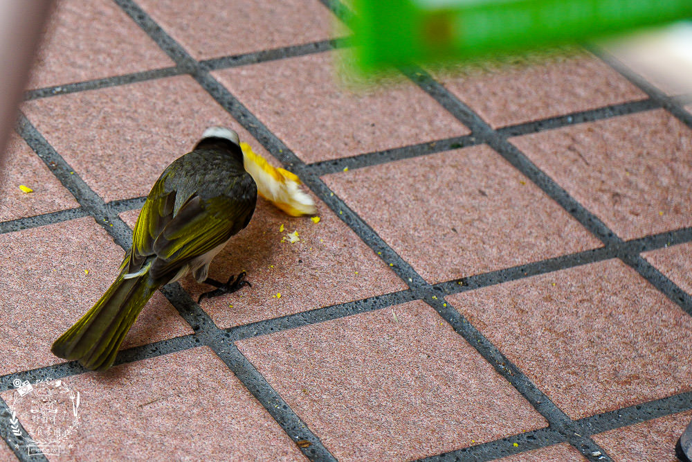 高雄[楓茶記總店冰火菠蘿油]台灣超人氣冰火菠蘿油!邪惡香濃牽絲芝心還不吃爆?