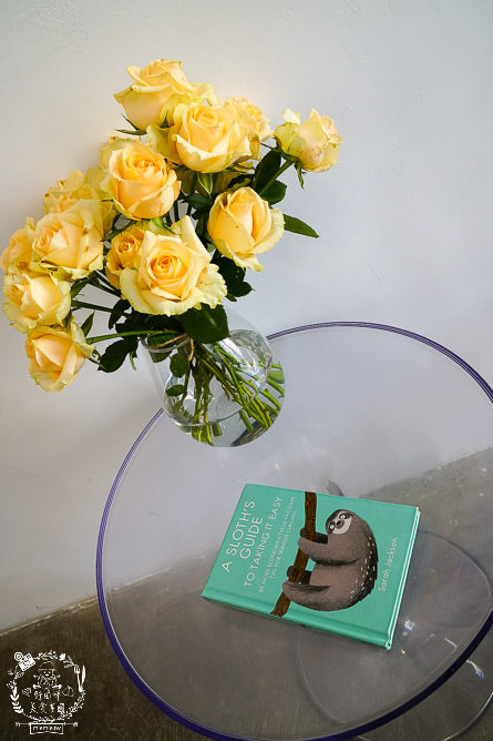 鳳山隱藏版咖啡廳[樹苒小鎮咖啡甜點店]純白簡約的浪漫下午茶甜點店!漫步調享受慵懶時光