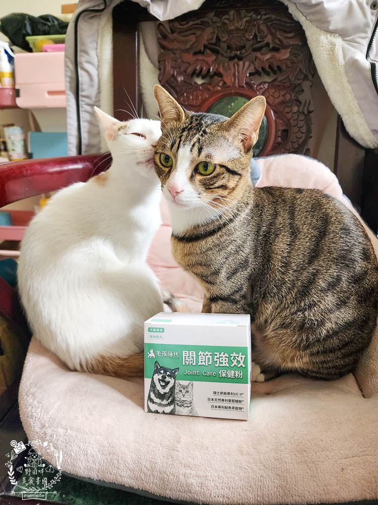寵物關節保健品推薦[毛孩時代關節強效保健粉]專業醫師合作開發!歐日大廠指定專利配方!讓寵物順暢不卡卡