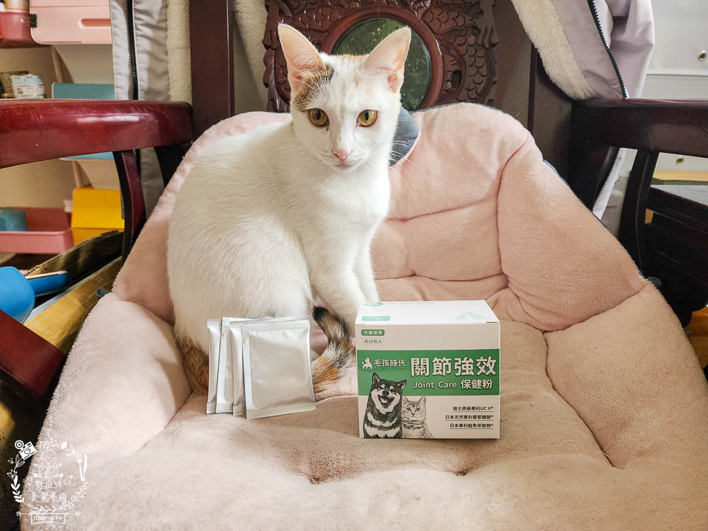 寵物關節保健品推薦[毛孩時代關節強效保健粉]專業醫師合作開發!歐日大廠指定專利配方!讓寵物順暢不卡卡