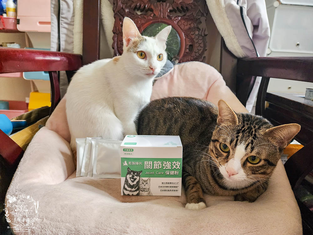 寵物關節保健品推薦[毛孩時代關節強效保健粉]專業醫師合作開發!歐日大廠指定專利配方!讓寵物順暢不卡卡