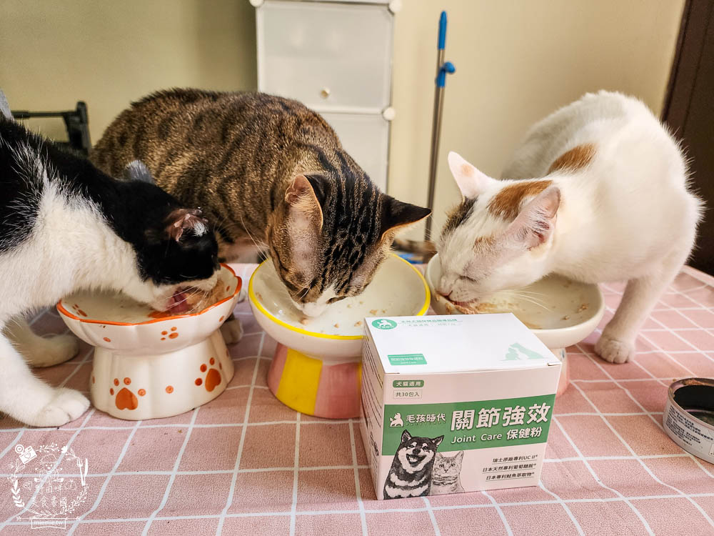 寵物關節保健品推薦[毛孩時代關節強效保健粉]專業醫師合作開發!歐日大廠指定專利配方!讓寵物順暢不卡卡