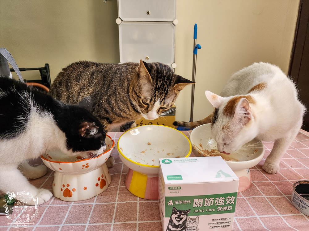 寵物關節保健品推薦[毛孩時代關節強效保健粉]專業醫師合作開發!歐日大廠指定專利配方!讓寵物順暢不卡卡