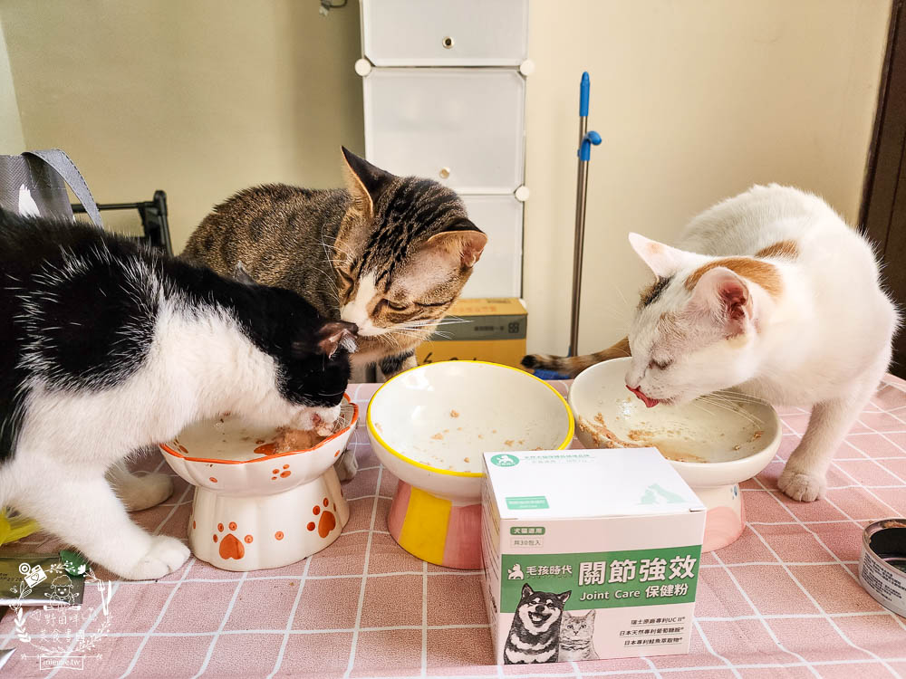 寵物關節保健品推薦[毛孩時代關節強效保健粉]專業醫師合作開發!歐日大廠指定專利配方!讓寵物順暢不卡卡