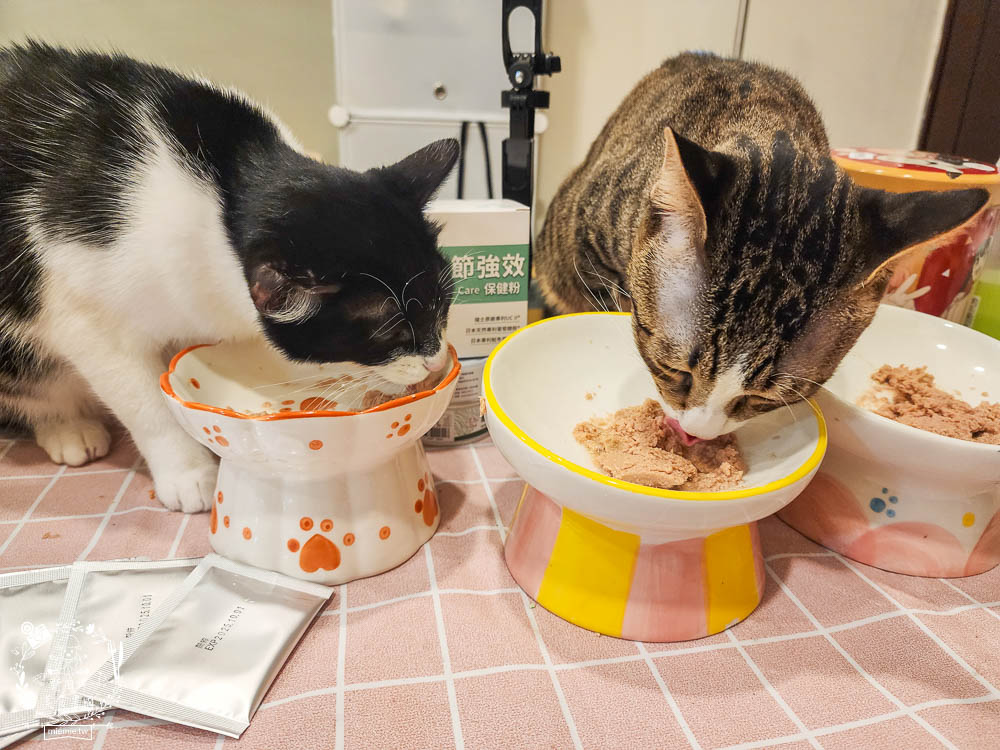 寵物關節保健品推薦[毛孩時代關節強效保健粉]專業醫師合作開發!歐日大廠指定專利配方!讓寵物順暢不卡卡