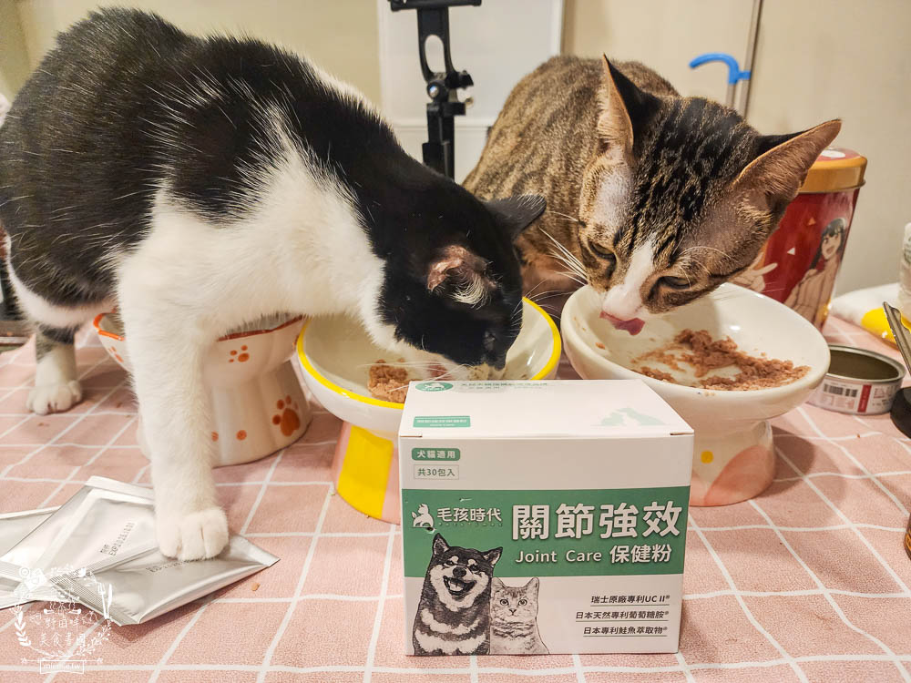 寵物關節保健品推薦[毛孩時代關節強效保健粉]專業醫師合作開發!歐日大廠指定專利配方!讓寵物順暢不卡卡