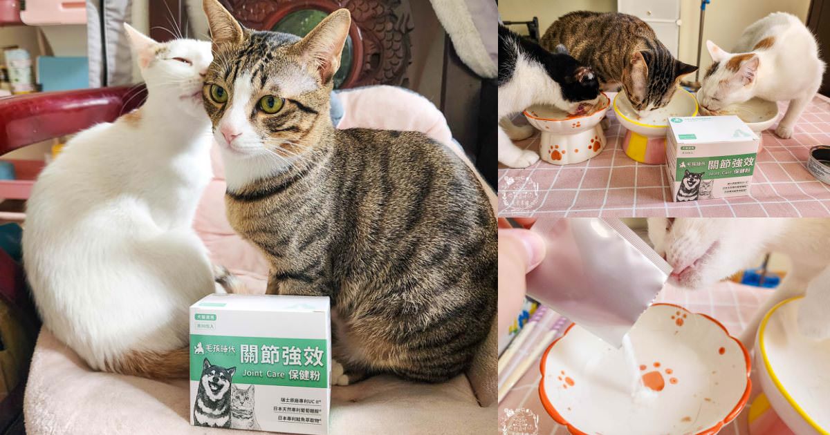 寵物關節保健品推薦[毛孩時代關節強效保健粉]專業醫師合作開發!歐日大廠指定專利配方!讓寵物順暢不卡卡
