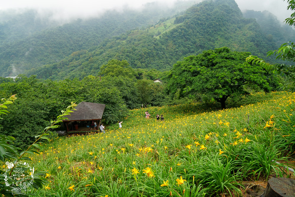 [台中山城三天兩夜遊]踏青賞花+品嘗在地夯美食+享受美人湯的溫泉之旅