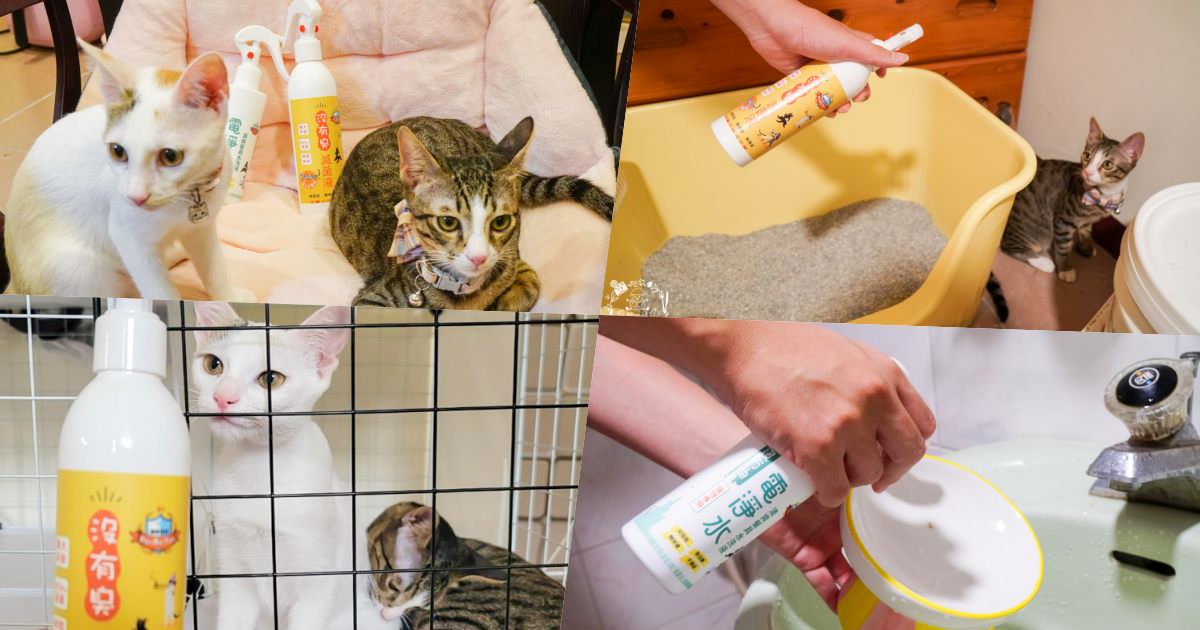 貓咪清潔用品開箱<沒有臭>貓用滅菌液+沒有油 電淨水 清爽餐具水洗液|無毒不刺激不致敏，誤舔無礙的清潔用品