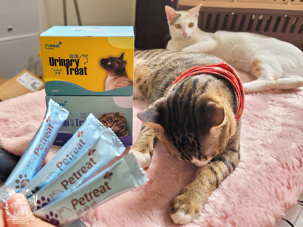貓咪保健品推薦[沛睿德寵護皮膚保健+泌尿道保健品]Cinteral®專利微胜肽提升吸收力!添加鮮美深海魚粉適口性超好！