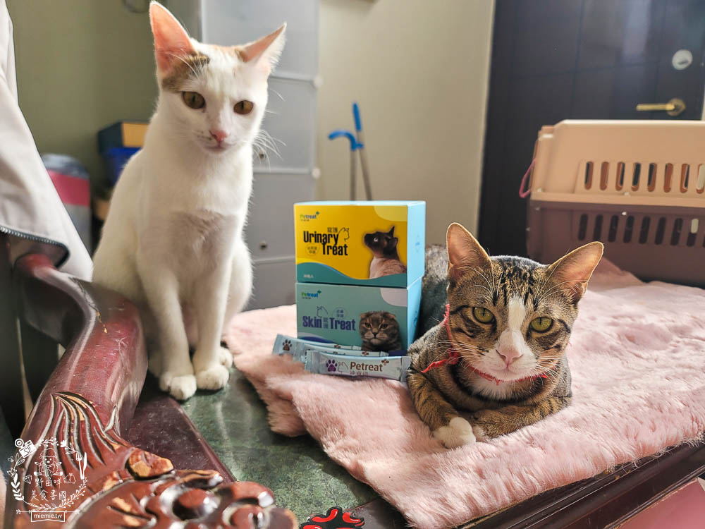 貓咪保健品推薦[沛睿德寵護皮膚保健+泌尿道保健品]Cinteral®專利微胜肽提升吸收力!添加鮮美深海魚粉適口性超好！