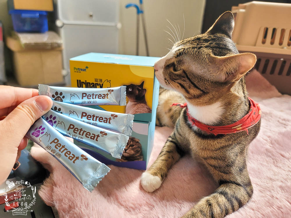 貓咪保健品推薦[沛睿德寵護皮膚保健+泌尿道保健品]Cinteral®專利微胜肽提升吸收力!添加鮮美深海魚粉適口性超好！