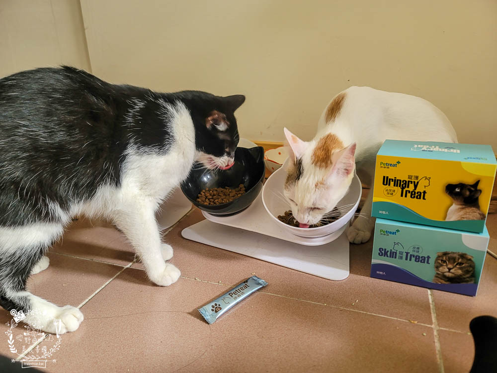 貓咪保健品推薦[沛睿德寵護皮膚保健+泌尿道保健品]Cinteral®專利微胜肽提升吸收力!添加鮮美深海魚粉適口性超好！