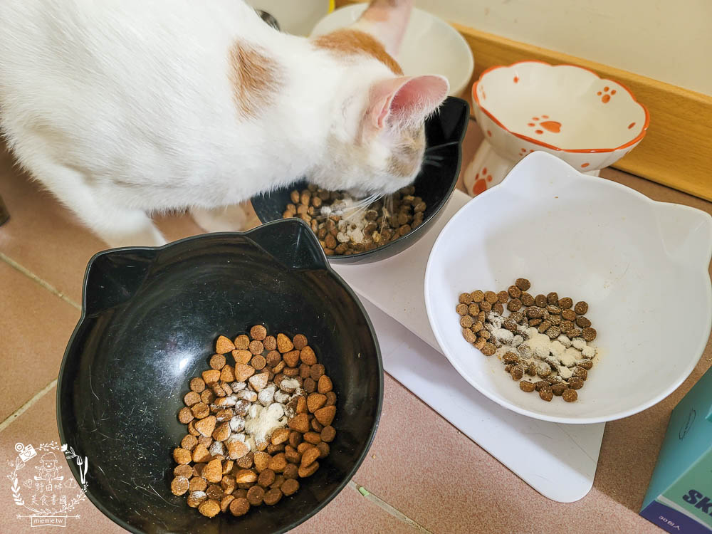 貓咪保健品推薦[沛睿德寵護皮膚保健+泌尿道保健品]Cinteral®專利微胜肽提升吸收力!添加鮮美深海魚粉適口性超好！