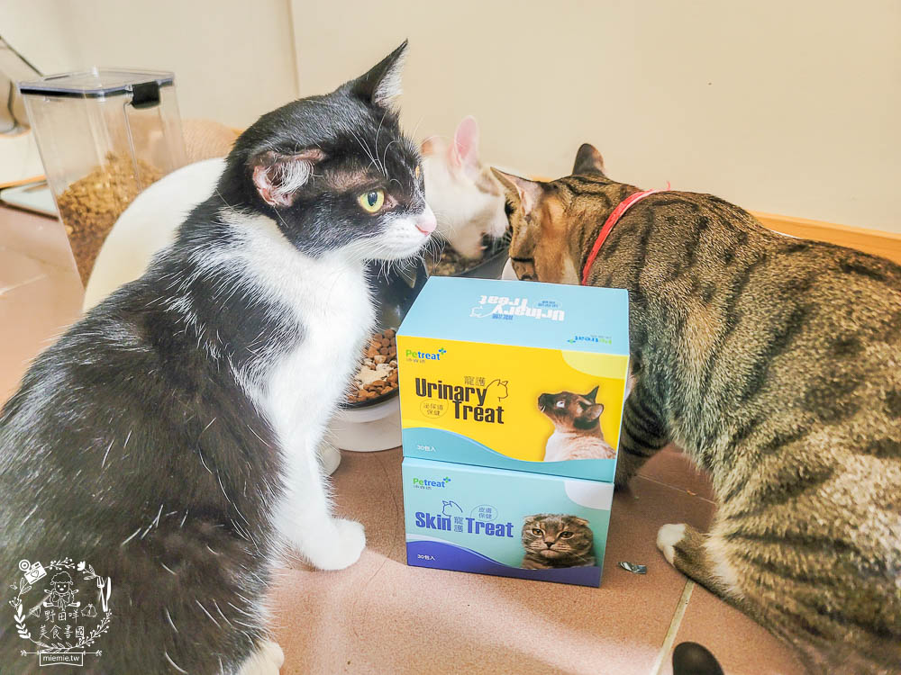 貓咪保健品推薦[沛睿德寵護皮膚保健+泌尿道保健品]Cinteral®專利微胜肽提升吸收力!添加鮮美深海魚粉適口性超好！