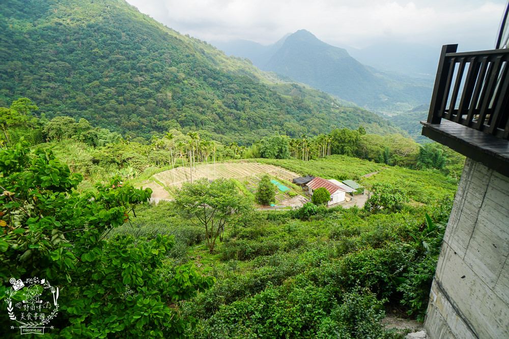嘉義[游芭絲鄒宴餐廳]阿里山絕美夢幻的景觀餐廳!超有特色的原住民炭烤料理!熱門打卡網美餐廳