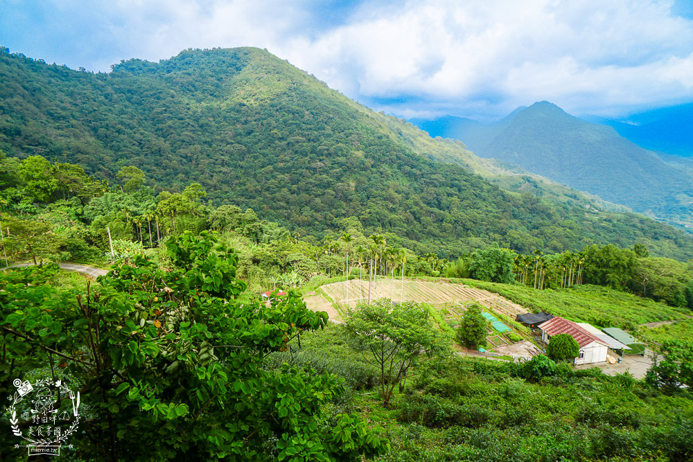 嘉義[游芭絲鄒宴餐廳]阿里山絕美夢幻的景觀餐廳!超有特色的原住民炭烤料理!熱門打卡網美餐廳