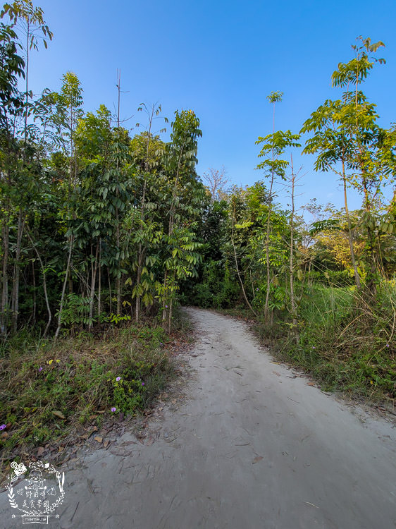 高雄烏山頂泥火山&新養女湖|台灣難得可貴的奇景!欣賞泥火山暴動樣貌?! - 第19張圖 高雄烏山頂泥火山&新養女湖|台灣難得可貴的奇景!欣賞泥火山暴動樣貌?!