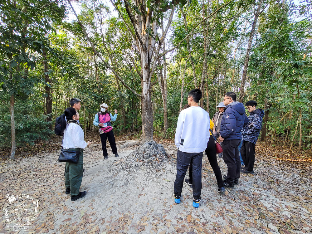 高雄烏山頂泥火山&新養女湖|台灣難得可貴的奇景!欣賞泥火山暴動樣貌?! - 第20張圖 高雄烏山頂泥火山&新養女湖|台灣難得可貴的奇景!欣賞泥火山暴動樣貌?!