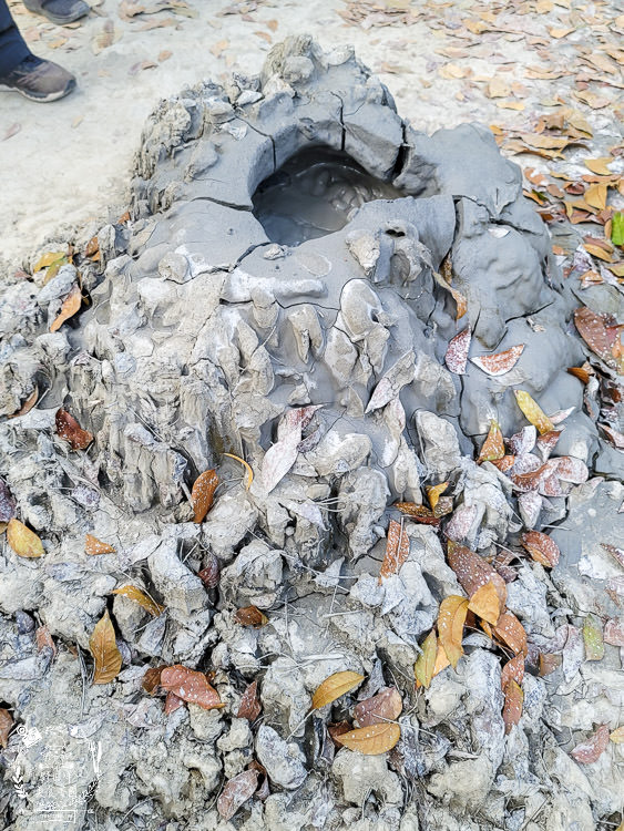 高雄烏山頂泥火山&新養女湖|台灣難得可貴的奇景!欣賞泥火山暴動樣貌?! - 第21張圖 高雄烏山頂泥火山&新養女湖|台灣難得可貴的奇景!欣賞泥火山暴動樣貌?!