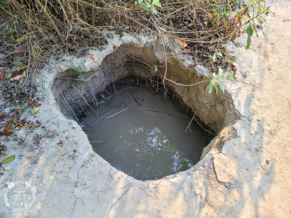 高雄烏山頂泥火山&新養女湖|台灣難得可貴的奇景!欣賞泥火山暴動樣貌?! - 第7張圖 高雄烏山頂泥火山&新養女湖|台灣難得可貴的奇景!欣賞泥火山暴動樣貌?!
