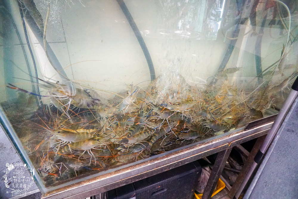 高雄超浮誇燒烤店[燒烤殿]每桌必點懶人蝦1隻5元?鮮蚵嘉義東石每天新鮮直送?