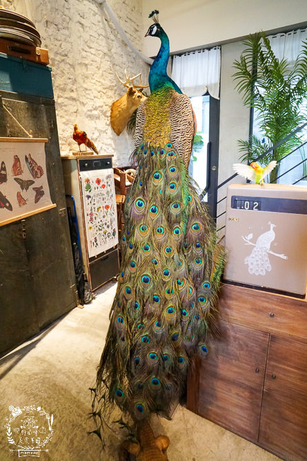 高雄隱藏版甜點[猶生 AMAR]營業日期freestyle的人氣打卡標本店?!