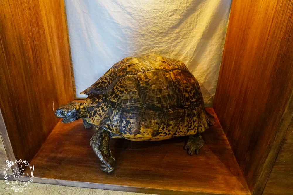 高雄隱藏版甜點[猶生 AMAR]營業日期freestyle的人氣打卡標本店?!