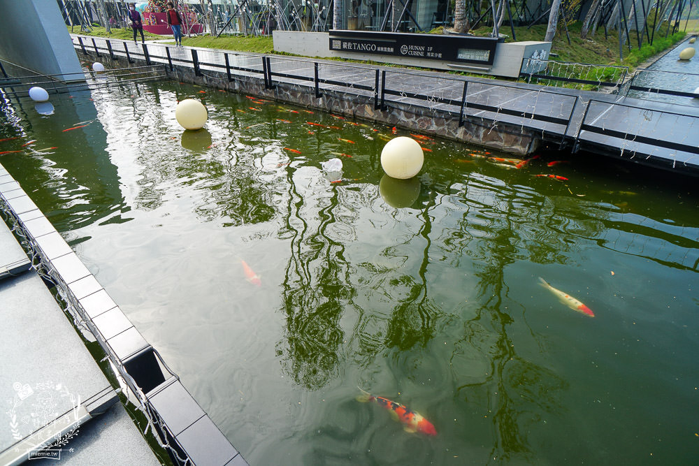 高雄碳佐麻里時代店|假日人潮爆滿座無虛席的絕美水上燒肉餐廳!燒肉生魚片丼飯應有盡有 - 第5張圖 高雄碳佐麻里時代店|假日人潮爆滿座無虛席的絕美水上燒肉餐廳!燒肉生魚片丼飯應有盡有