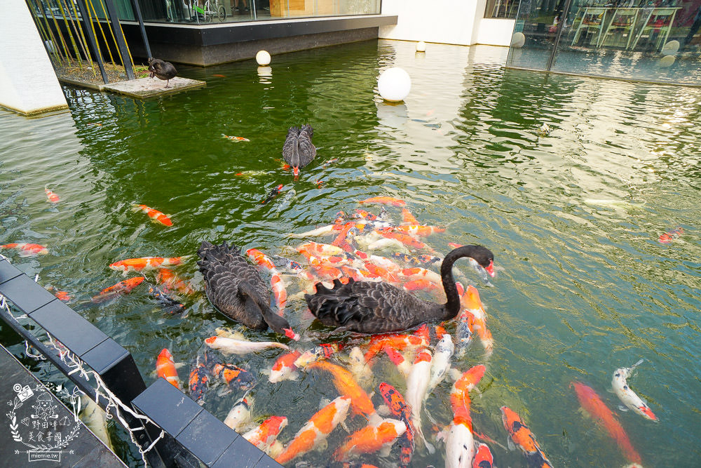 高雄碳佐麻里時代店|假日人潮爆滿座無虛席的絕美水上燒肉餐廳!燒肉生魚片丼飯應有盡有 - 第68張圖 高雄碳佐麻里時代店|假日人潮爆滿座無虛席的絕美水上燒肉餐廳!燒肉生魚片丼飯應有盡有