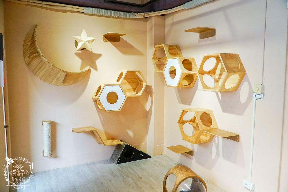 秋樂主義貓咪跑跑咖啡廳Kitty Running|台中超萌Q的貓咪咖啡廳!超多貓咪陪你玩翻天!