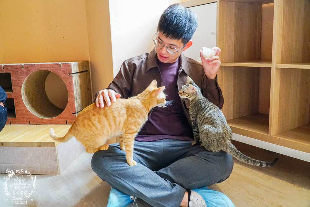 秋樂主義貓咪跑跑咖啡廳Kitty Running|台中超萌Q的貓咪咖啡廳!超多貓咪陪你玩翻天!