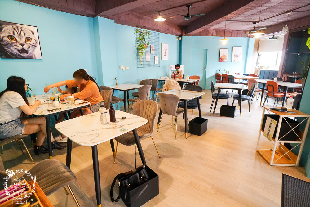 秋樂主義貓咪跑跑咖啡廳Kitty Running|台中超萌Q的貓咪咖啡廳!超多貓咪陪你玩翻天!