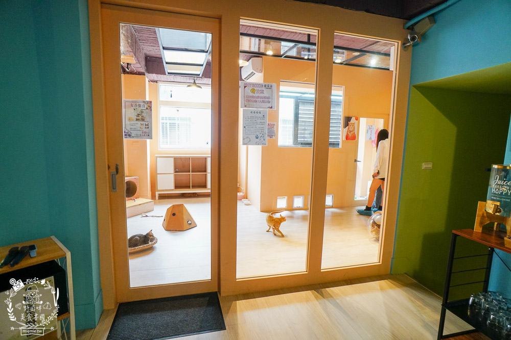 秋樂主義貓咪跑跑咖啡廳Kitty Running|台中超萌Q的貓咪咖啡廳!超多貓咪陪你玩翻天!