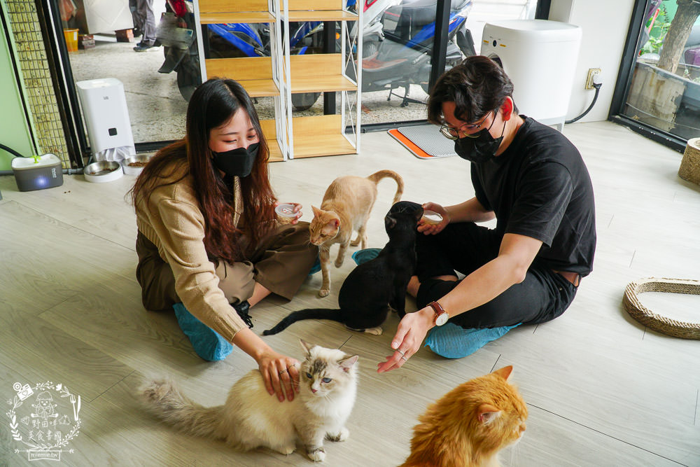 秋樂主義貓咪跑跑咖啡廳Kitty Running|台中超萌Q的貓咪咖啡廳!超多貓咪陪你玩翻天!