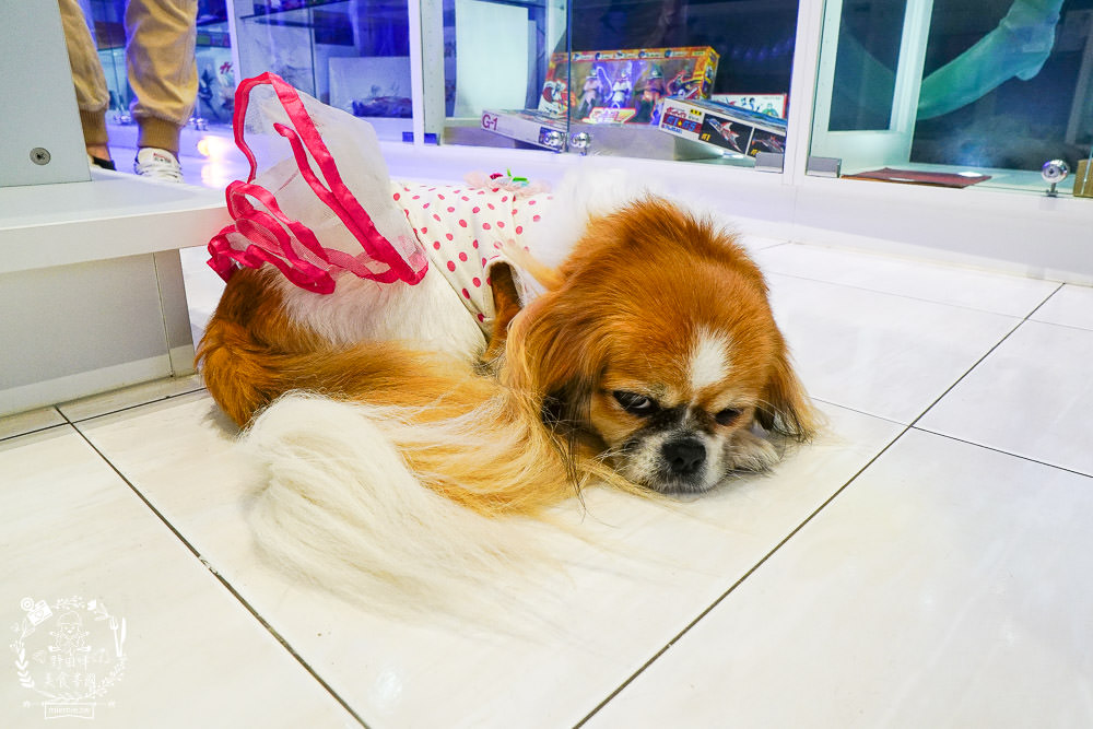 高雄[科學小飛俠海底秘密基地]全台唯一科學小飛俠博物館!日本柏青哥機台+好玩cosplay