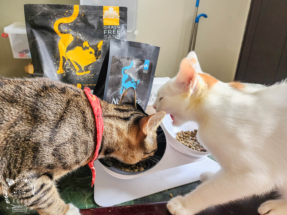 2024飼料推薦[八犬寵物Nutrience紐崔斯黑鑽頂級無穀飼料評價]超多飼主毛孩喜歡的寵物凍乾無穀飼料推薦