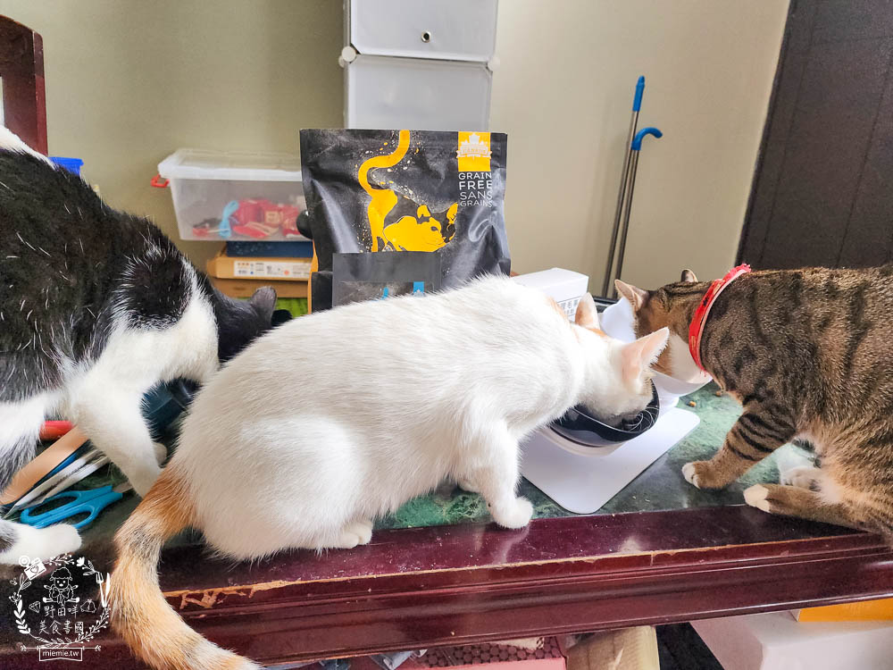 2024飼料推薦[八犬寵物Nutrience紐崔斯黑鑽頂級無穀飼料評價]超多飼主毛孩喜歡的寵物凍乾無穀飼料推薦