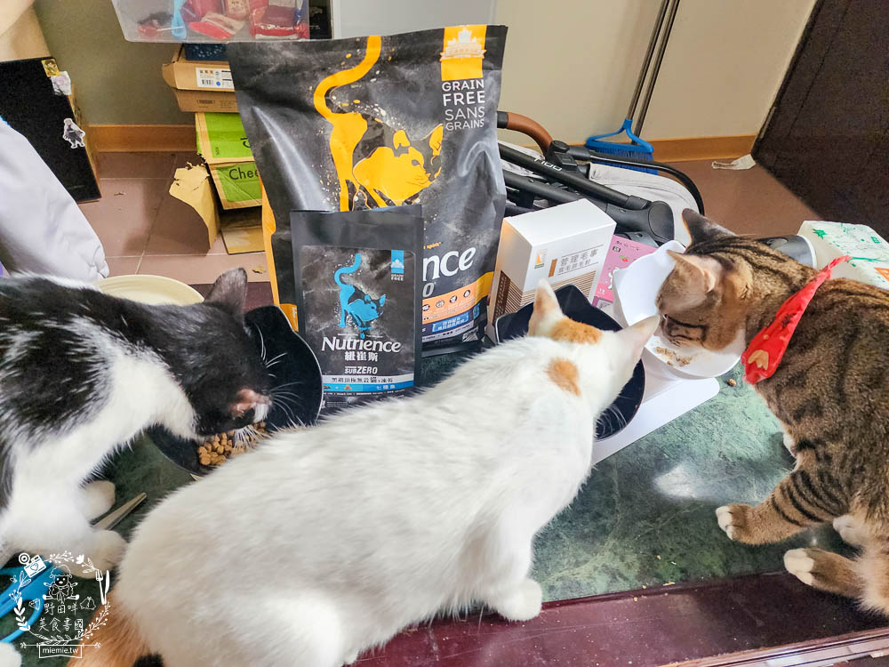 2024飼料推薦[八犬寵物Nutrience紐崔斯黑鑽頂級無穀飼料評價]超多飼主毛孩喜歡的寵物凍乾無穀飼料推薦