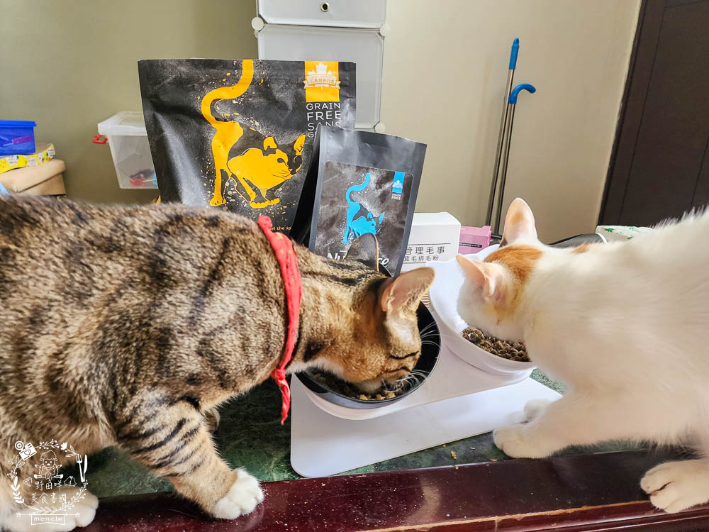 2024飼料推薦[八犬寵物Nutrience紐崔斯黑鑽頂級無穀飼料評價]超多飼主毛孩喜歡的寵物凍乾無穀飼料推薦