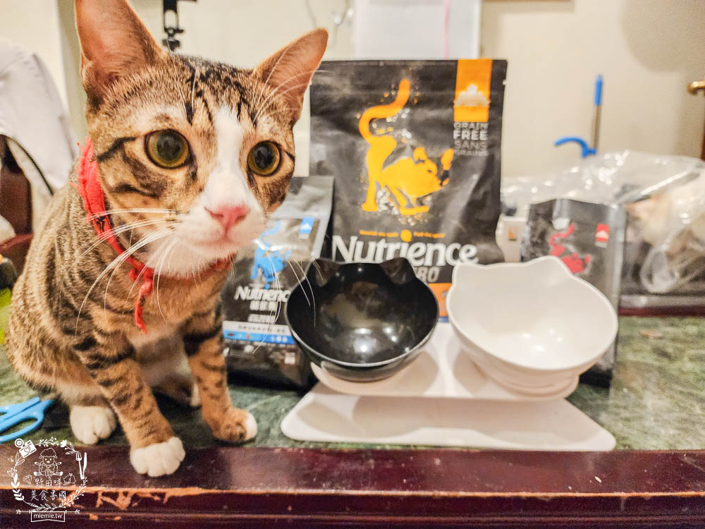 2024飼料推薦[八犬寵物Nutrience紐崔斯黑鑽頂級無穀飼料評價]超多飼主毛孩喜歡的寵物凍乾無穀飼料推薦