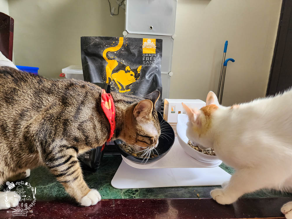 2024飼料推薦[八犬寵物Nutrience紐崔斯黑鑽頂級無穀飼料評價]超多飼主毛孩喜歡的寵物凍乾無穀飼料推薦