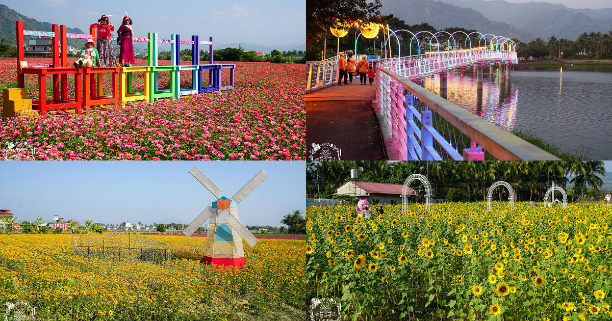 2025美濃花海|高雄色彩絢麗的繽紛浪漫花海!超好拍的七彩巨椅+兔兔藝術裝置!向日葵+百日草+大波斯菊等絢爛花海~