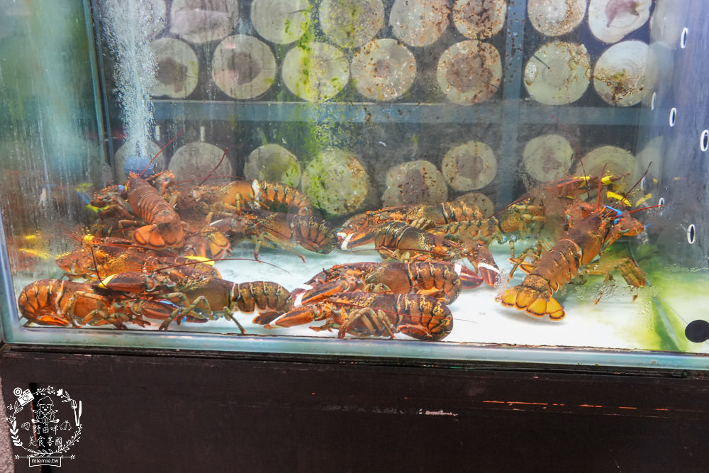 舞古賀鍋物專賣店|高雄日本A5和牛+巧克力和牛鮮美推薦!菜盤換的黑毛豬超級彈嫩可口!