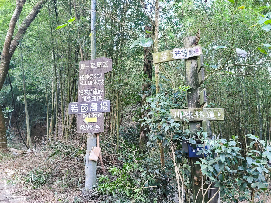 台中景觀住宿[若茵農場]第一名人氣秘境!浪漫夜景x絕美雲海x絢爛夕陽x蔚藍天空~超紓壓休閒景點