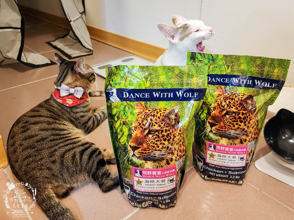 荒野饗宴貓飼料海陸大餐評價!高CP值又適口性佳的全天然無穀貓咪乾糧!