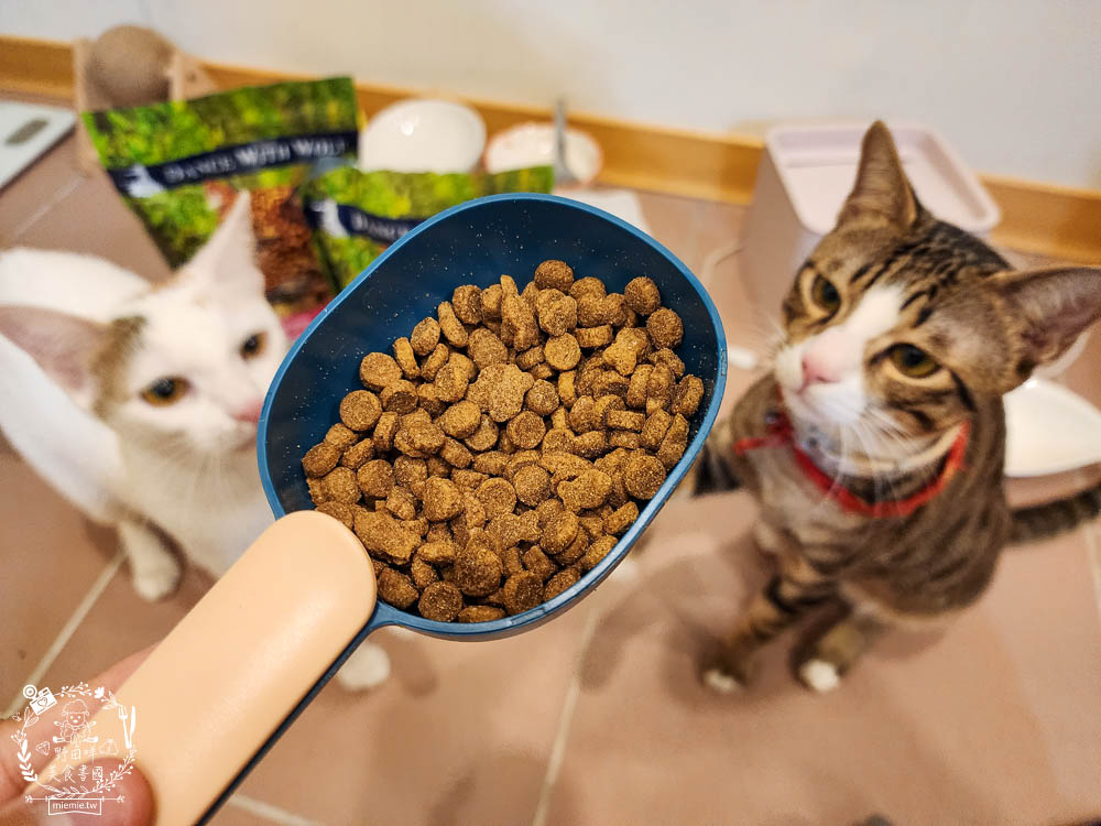 荒野饗宴貓飼料海陸大餐評價!高CP值又適口性佳的全天然無穀貓咪乾糧!
