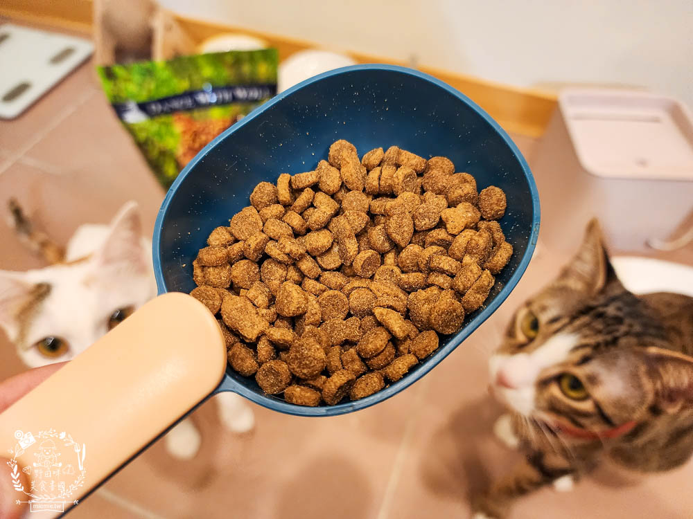 荒野饗宴貓飼料海陸大餐評價!高CP值又適口性佳的全天然無穀貓咪乾糧!