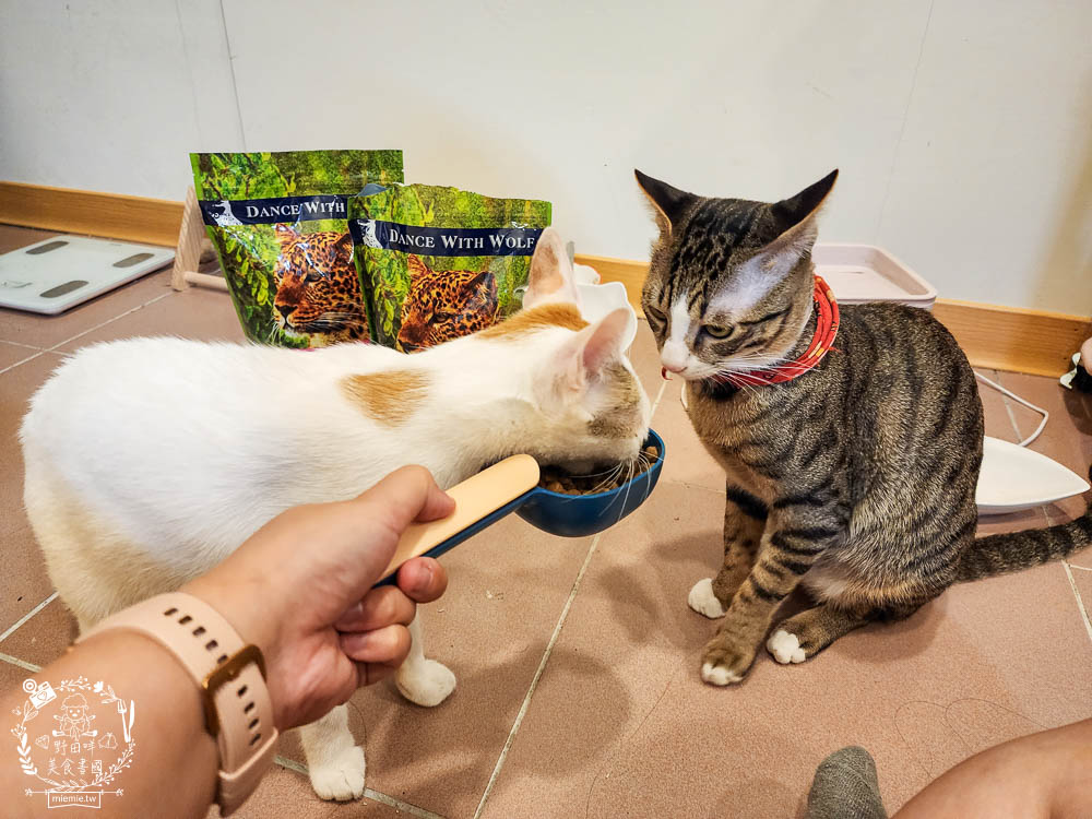 荒野饗宴貓飼料海陸大餐評價!高CP值又適口性佳的全天然無穀貓咪乾糧!