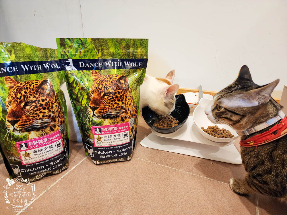 荒野饗宴貓飼料海陸大餐評價!高CP值又適口性佳的全天然無穀貓咪乾糧!